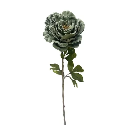 Immagini/shoppercenter_12084_fiore