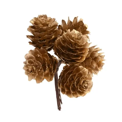 Immagini/shoppercenter_12242_deco