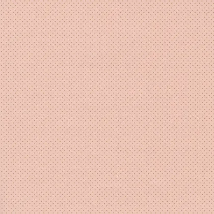 Immagini/shoppercenter_12919_foglio