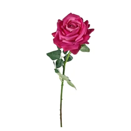 Immagini/shoppercenter_12001_fiore