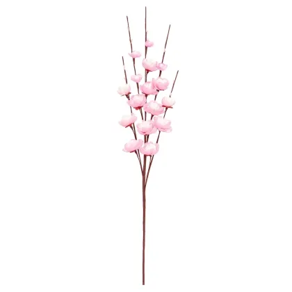 Immagini/shoppercenter_12656_deco