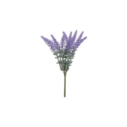 shoppercenter_09379_lavanda.jpg