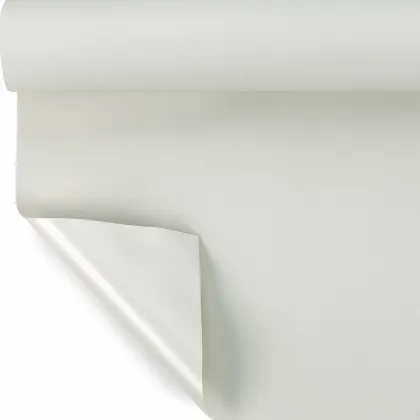 Immagini/shoppercenter_08274_ tortoraok