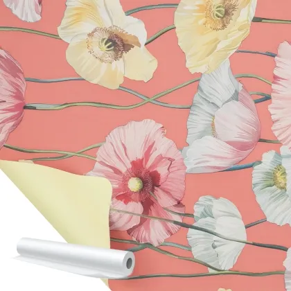 Immagini/shoppercenter_12697_bobina