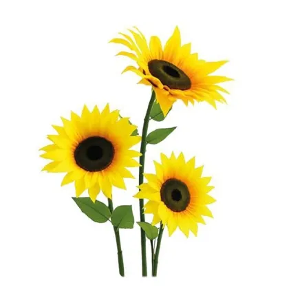 Immagini/shoppercenter_12903_deco