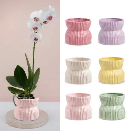 shoppercenter_13025_box