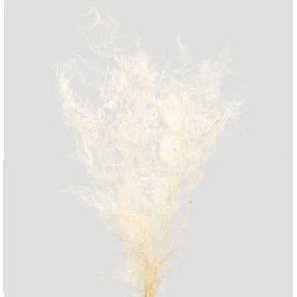 shoppercenter_13060_fiore