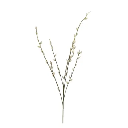 Immagini/shoppercenter_12784_verde