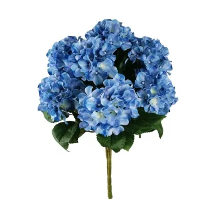 Immagini/shoppercenter_12775_verde