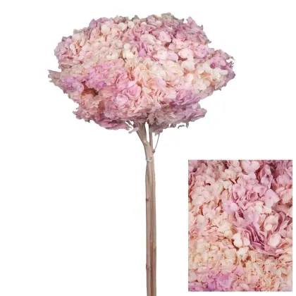 shoppercenter_13053_fiore