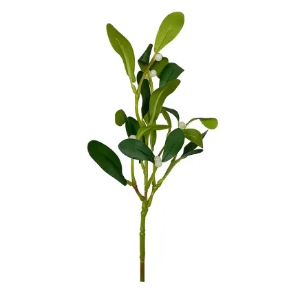 Immagini/shoppercenter_12684_deco