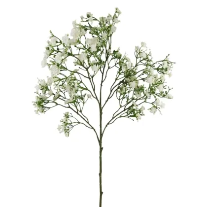 Immagini/shoppercenter_12768_verde