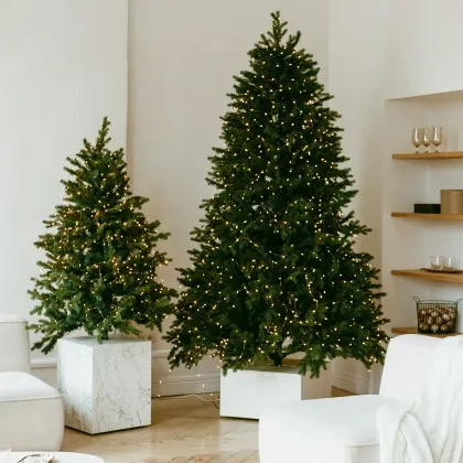 231- ALBERI DI NATALE