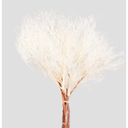 shoppercenter_13062_fiore