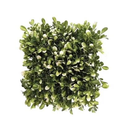 Immagini/shoppercenter_12758_verde