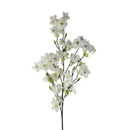 Immagini/shoppercenter_12795_verde