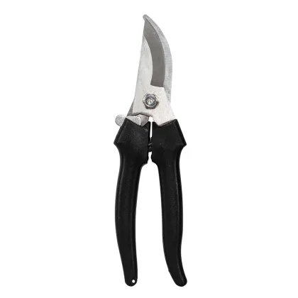 Immagini/shoppercenter_12642_deco