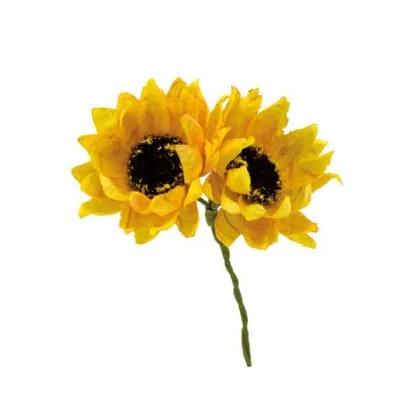 shoppercenter_13118_deco