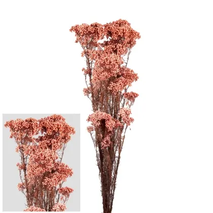 shoppercenter_13057_fiore