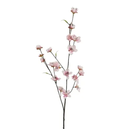 Immagini/shoppercenter_12679_deco