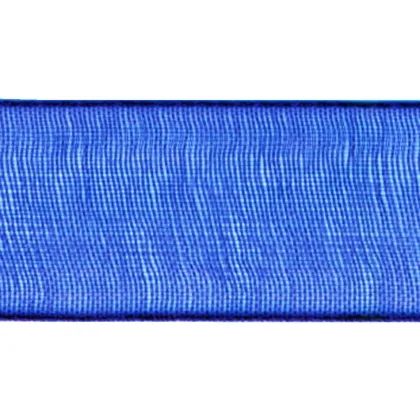 Immagini/shoppercenter_00943_organza_bluelettrico
