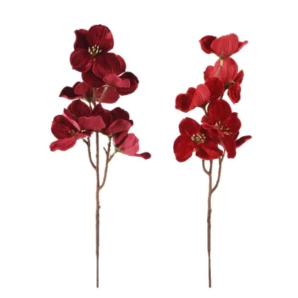 Immagini/shoppercenter_12404_deco