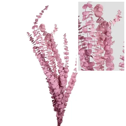 shoppercenter_13050_fiore