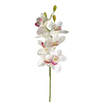 Immagini/shoppercenter_12788_verde