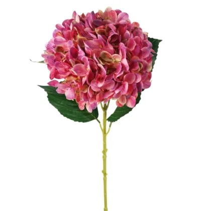 Immagini/shoppercenter_12760_verde