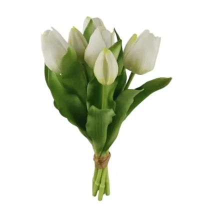 Immagini/shoppercenter_12793_verde