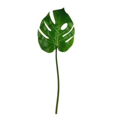 Immagini/shoppercenter_12757_verde