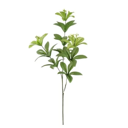 Immagini/shoppercenter_12770_verde