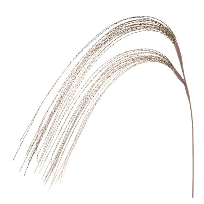 shoppercenter_13254_deco