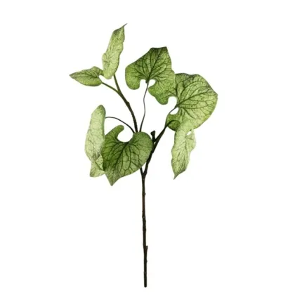 Immagini/shoppercenter_12769_verde