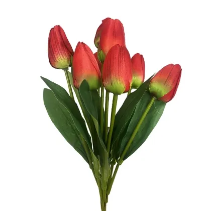 Immagini/shoppercenter_12090_fiore