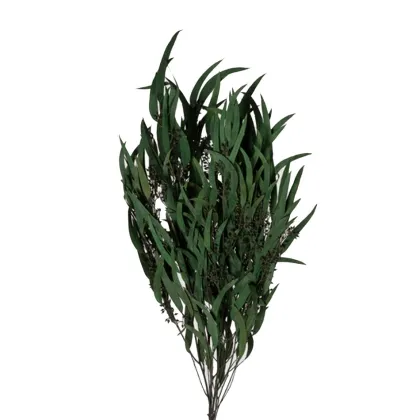 shoppercenter_13055_fiore