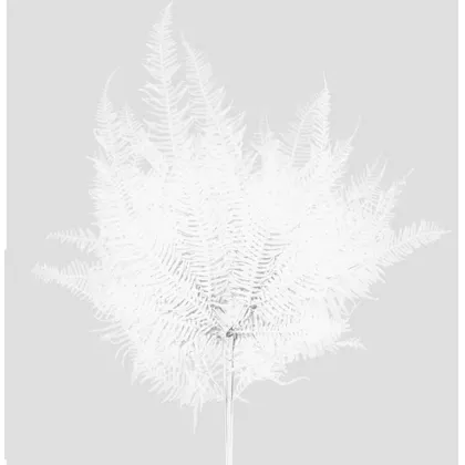 shoppercenter_13059_fiore