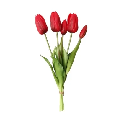 Immagini/shoppercenter_12804_verde