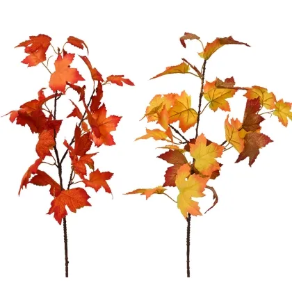 Immagini/shoppercenter_12399_deco