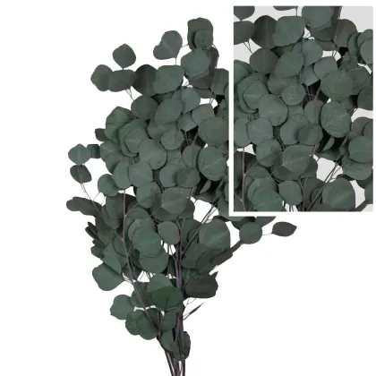 shoppercenter_13051_fiore