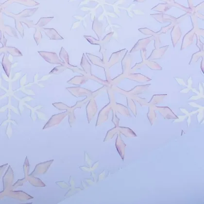 Immagini/shoppercenter_12490_bobina