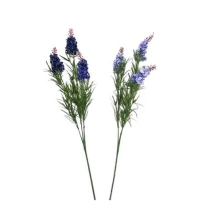 Immagini/shoppercenter_12785_verde