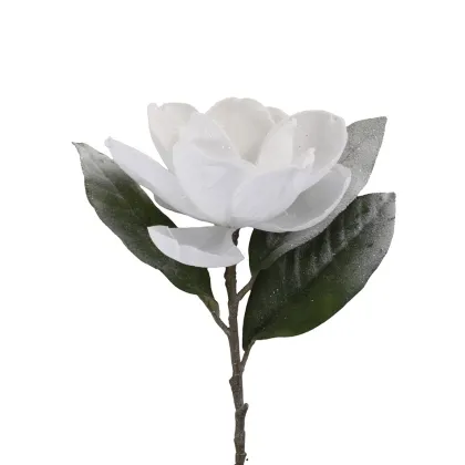 shoppercenter_13266_deco