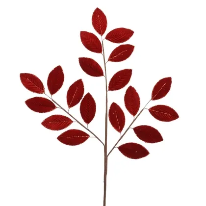 Immagini/shoppercenter_12211_deco