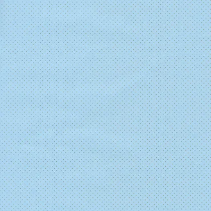 Immagini/shoppercenter_12920_foglio