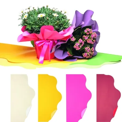 shoppercenter_13405_petali