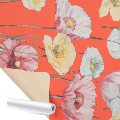 Immagini/shoppercenter_12696_bobina